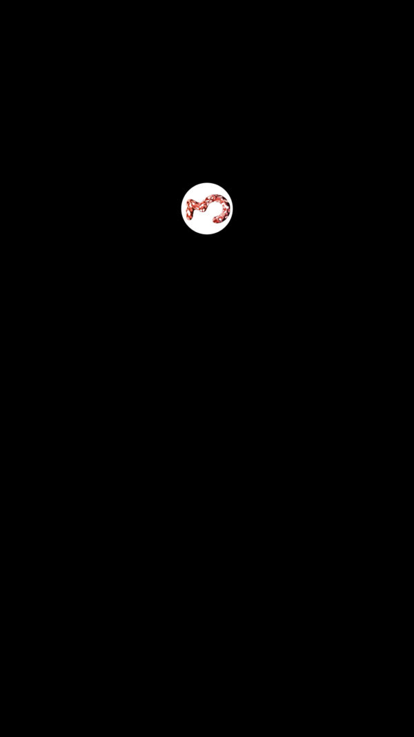 White Bounce Countdown - Image 3